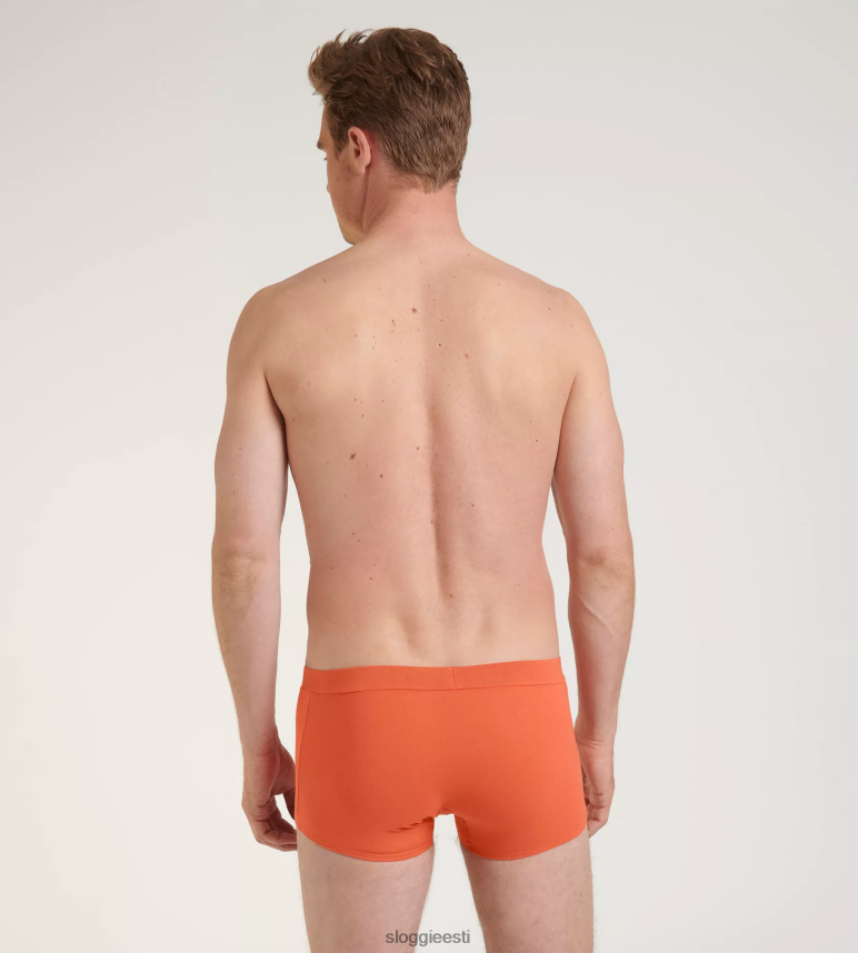 aluspesu sloggi mehed minge loomulikud hipsterpüksid 2Z6P64886 pruun - tume kombinatsioon